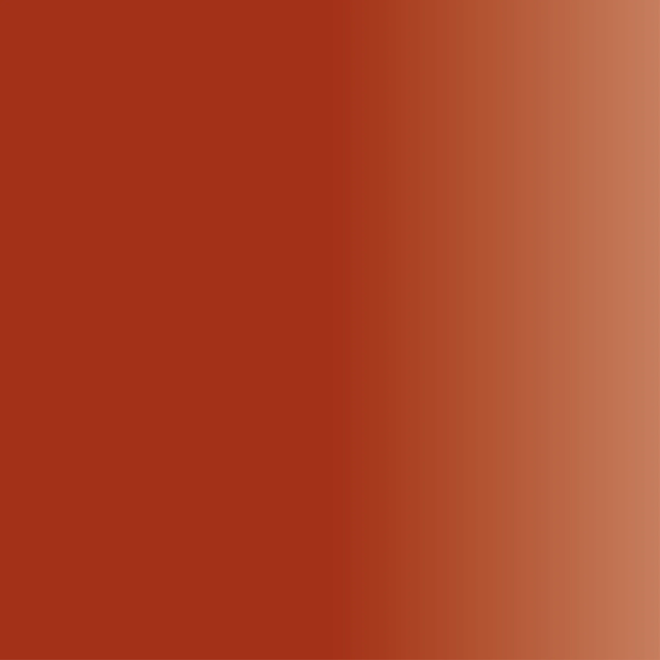 NEW Swiss Base 107 Terra Pigment 5ml